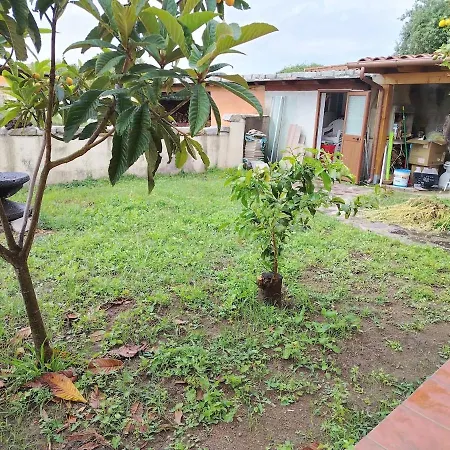 Indipendente Con Giardino Privato In Via Del Tirreno
